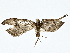  ( - BIOUG80703-G05)  @11 [ ] CreativeCommons - Attribution (2022) CBG Photography Group Centre for Biodiversity Genomics