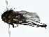  ( - BIOUG80704-F01)  @11 [ ] CreativeCommons - Attribution (2022) CBG Photography Group Centre for Biodiversity Genomics