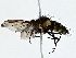 ( - BIOUG80704-F02)  @11 [ ] CreativeCommons - Attribution (2022) CBG Photography Group Centre for Biodiversity Genomics
