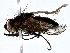  ( - BIOUG80704-F04)  @11 [ ] CreativeCommons - Attribution (2022) CBG Photography Group Centre for Biodiversity Genomics