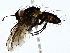  ( - BIOUG80704-F06)  @11 [ ] CreativeCommons - Attribution (2022) CBG Photography Group Centre for Biodiversity Genomics