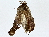  ( - BIOUG80704-F10)  @11 [ ] CreativeCommons - Attribution (2022) CBG Photography Group Centre for Biodiversity Genomics