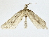  ( - BIOUG80704-G01)  @11 [ ] CreativeCommons - Attribution (2022) CBG Photography Group Centre for Biodiversity Genomics
