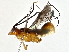  ( - BIOUG80704-H01)  @11 [ ] CreativeCommons - Attribution (2022) CBG Photography Group Centre for Biodiversity Genomics