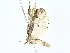  ( - BIOUG70301-F10)  @11 [ ] CreativeCommons - Attribution (2022) CBG Photography Group Centre for Biodiversity Genomics