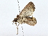  ( - BIOUG70301-G09)  @11 [ ] CreativeCommons - Attribution (2022) CBG Photography Group Centre for Biodiversity Genomics