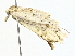  ( - BIOUG70302-B03)  @11 [ ] CreativeCommons - Attribution (2022) CBG Photography Group Centre for Biodiversity Genomics