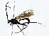  ( - BIOUG70302-C04)  @11 [ ] CreativeCommons - Attribution (2022) CBG Photography Group Centre for Biodiversity Genomics