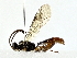 ( - BIOUG76534-D02)  @11 [ ] CreativeCommons - Attribution (2022) CBG Photography Group Centre for Biodiversity Genomics