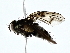  ( - BIOUG76535-D06)  @11 [ ] CreativeCommons - Attribution (2022) CBG Photography Group Centre for Biodiversity Genomics