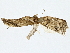  ( - BIOUG80134-D07)  @11 [ ] CreativeCommons - Attribution (2022) CBG Photography Group Centre for Biodiversity Genomics