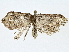  ( - BIOUG80134-D12)  @11 [ ] CreativeCommons - Attribution (2022) CBG Photography Group Centre for Biodiversity Genomics