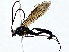  ( - BIOUG80134-F05)  @11 [ ] CreativeCommons - Attribution (2022) CBG Photography Group Centre for Biodiversity Genomics
