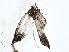  ( - BIOUG80135-E06)  @11 [ ] CreativeCommons - Attribution (2022) CBG Photography Group Centre for Biodiversity Genomics