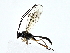  ( - BIOUG80136-B09)  @11 [ ] CreativeCommons - Attribution (2022) CBG Photography Group Centre for Biodiversity Genomics