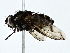  ( - BIOUG80136-E10)  @11 [ ] CreativeCommons - Attribution (2022) CBG Photography Group Centre for Biodiversity Genomics