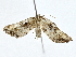  ( - BIOUG80705-G04)  @11 [ ] CreativeCommons - Attribution (2022) CBG Photography Group Centre for Biodiversity Genomics