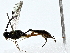  ( - BIOUG80706-B11)  @11 [ ] CreativeCommons - Attribution (2022) CBG Photography Group Centre for Biodiversity Genomics