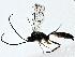  ( - BIOUG80706-B12)  @11 [ ] CreativeCommons - Attribution (2022) CBG Photography Group Centre for Biodiversity Genomics