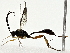  ( - BIOUG80706-C01)  @11 [ ] CreativeCommons - Attribution (2022) CBG Photography Group Centre for Biodiversity Genomics