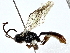  ( - BIOUG80706-C10)  @11 [ ] CreativeCommons - Attribution (2022) CBG Photography Group Centre for Biodiversity Genomics