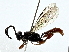  ( - BIOUG80707-C11)  @11 [ ] CreativeCommons - Attribution (2022) CBG Photography Group Centre for Biodiversity Genomics