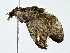  ( - BIOUG80707-E12)  @11 [ ] CreativeCommons - Attribution (2022) CBG Photography Group Centre for Biodiversity Genomics