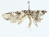  ( - BIOUG80707-F04)  @11 [ ] CreativeCommons - Attribution (2022) CBG Photography Group Centre for Biodiversity Genomics