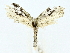  ( - BIOUG80707-F07)  @11 [ ] CreativeCommons - Attribution (2022) CBG Photography Group Centre for Biodiversity Genomics