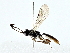  ( - BIOUG80707-F08)  @11 [ ] CreativeCommons - Attribution (2022) CBG Photography Group Centre for Biodiversity Genomics