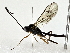  ( - BIOUG80707-G01)  @11 [ ] CreativeCommons - Attribution (2022) CBG Photography Group Centre for Biodiversity Genomics