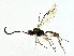  ( - BIOUG80708-B02)  @11 [ ] CreativeCommons - Attribution (2022) CBG Photography Group Centre for Biodiversity Genomics