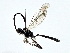  ( - BIOUG80708-D11)  @11 [ ] CreativeCommons - Attribution (2022) CBG Photography Group Centre for Biodiversity Genomics