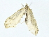 ( - BIOUG80708-E09)  @11 [ ] CreativeCommons - Attribution (2022) CBG Photography Group Centre for Biodiversity Genomics