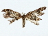  ( - BIOUG80708-F05)  @11 [ ] CreativeCommons - Attribution (2022) CBG Photography Group Centre for Biodiversity Genomics