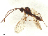  ( - BIOUG81501-A10)  @11 [ ] CreativeCommons - Attribution Share - Alike (2025) CBG Photography Group Centre for Biodiversity Genomics