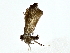  ( - BIOUG85295-B05)  @11 [ ] CreativeCommons - Attribution (2022) CBG Photography Group Centre for Biodiversity Genomics
