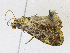  ( - CBG-A16691-E10)  @11 [ ] CreativeCommons - Attribution Share - Alike (2023) CBG Photography Group Centre for Biodiversity Genomics