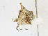  ( - CBG-A16691-E11)  @11 [ ] CreativeCommons - Attribution Share - Alike (2023) CBG Photography Group Centre for Biodiversity Genomics