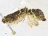  ( - CBG-A16691-E12)  @11 [ ] CreativeCommons - Attribution Share - Alike (2023) CBG Photography Group Centre for Biodiversity Genomics