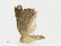  ( - CBG-A16692-B08)  @11 [ ] CreativeCommons - Attribution Share - Alike (2023) CBG Photography Group Centre for Biodiversity Genomics