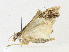  ( - CBG-A16692-B11)  @11 [ ] CreativeCommons - Attribution Share - Alike (2023) CBG Photography Group Centre for Biodiversity Genomics