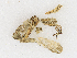  ( - CBG-A16692-E05)  @11 [ ] CreativeCommons - Attribution Share - Alike (2023) CBG Photography Group Centre for Biodiversity Genomics