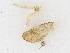  ( - CBG-A16692-F07)  @11 [ ] CreativeCommons - Attribution Share - Alike (2023) CBG Photography Group Centre for Biodiversity Genomics