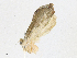  ( - CBG-A16704-A06)  @11 [ ] CreativeCommons - Attribution Share - Alike (2023) CBG Photography Group Centre for Biodiversity Genomics
