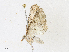  ( - CBG-A16704-A12)  @11 [ ] CreativeCommons - Attribution Share - Alike (2023) CBG Photography Group Centre for Biodiversity Genomics