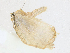  ( - CBG-A16704-D05)  @11 [ ] CreativeCommons - Attribution Share - Alike (2023) CBG Photography Group Centre for Biodiversity Genomics