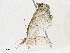  ( - CBG-A16704-D10)  @11 [ ] CreativeCommons - Attribution Share - Alike (2023) CBG Photography Group Centre for Biodiversity Genomics