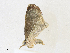  ( - CBG-A16704-D11)  @11 [ ] CreativeCommons - Attribution Share - Alike (2023) CBG Photography Group Centre for Biodiversity Genomics