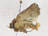 ( - CBG-A16704-F04)  @11 [ ] CreativeCommons - Attribution Share - Alike (2023) CBG Photography Group Centre for Biodiversity Genomics